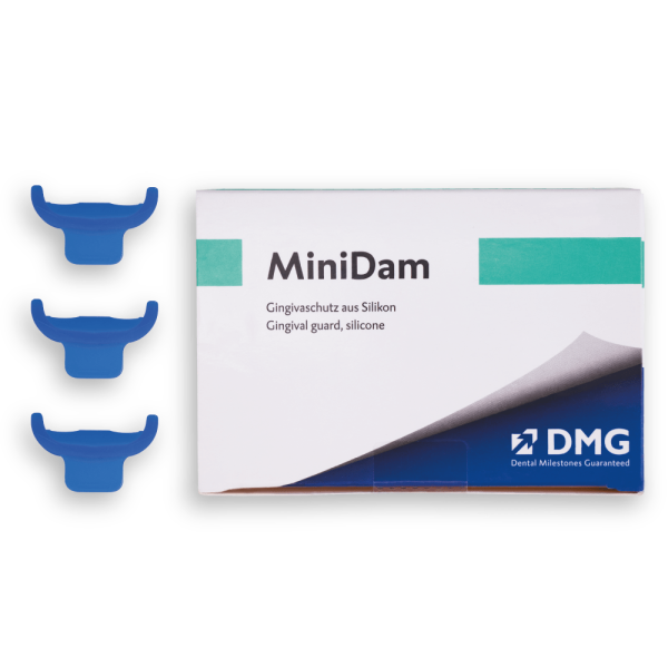 MiniDam