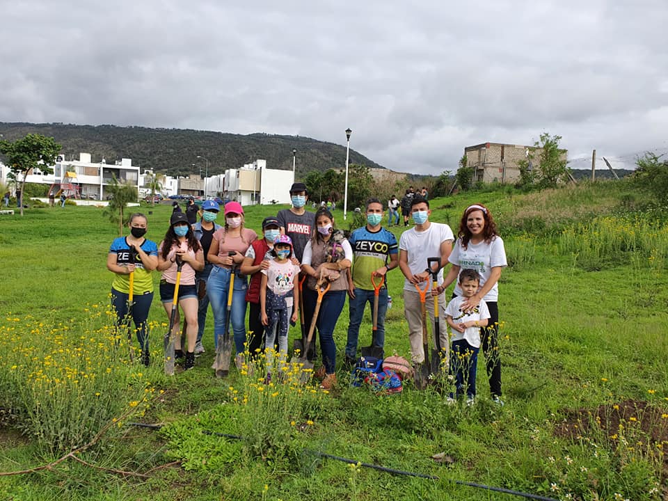 reforestacion-luna-bosque